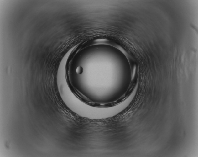 X0000091481010200708231356