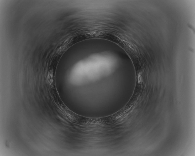 X0000091481011200708231356