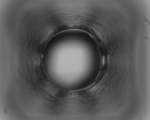 X0000091481012200708231356