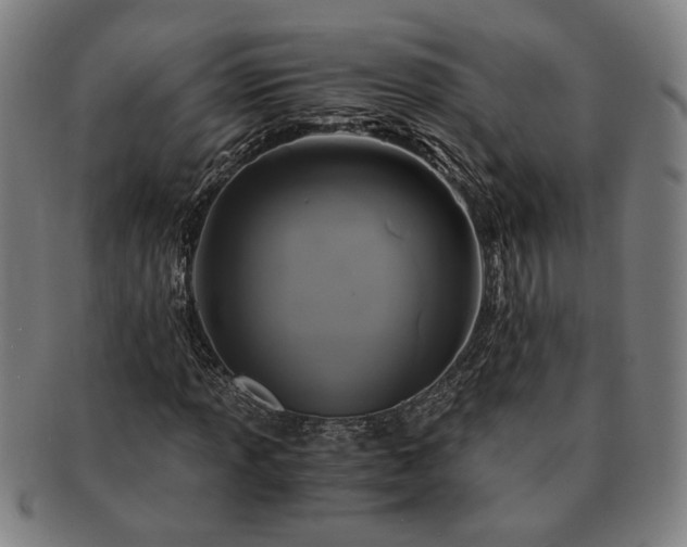 X0000091481013200708231356