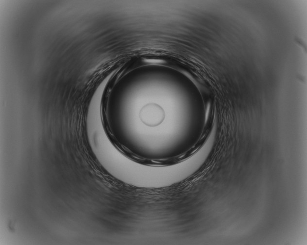 X0000091481014200708231356