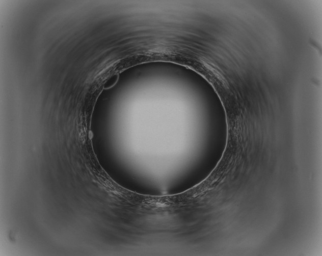 X0000091481015200708231356