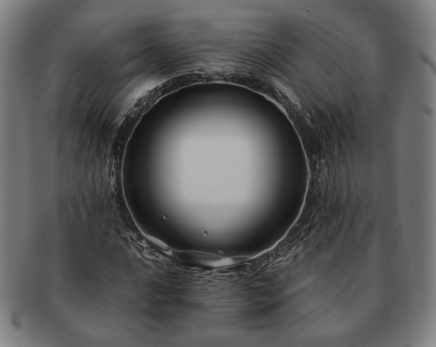 X0000091481016200708231356