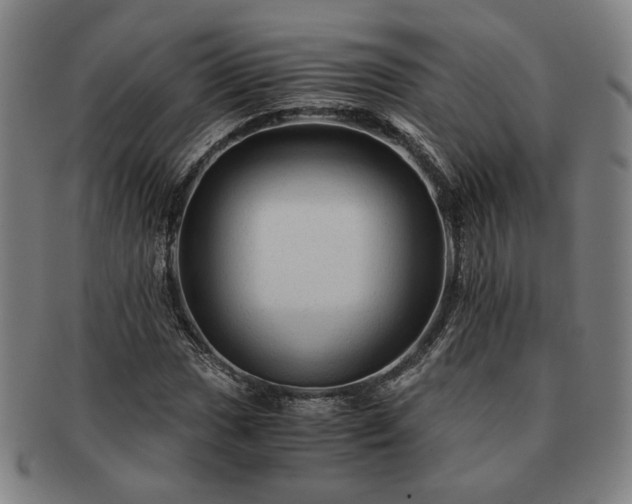 X0000091481017200708231356