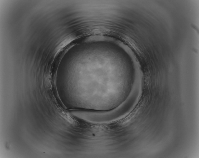 X0000091481018200708231356