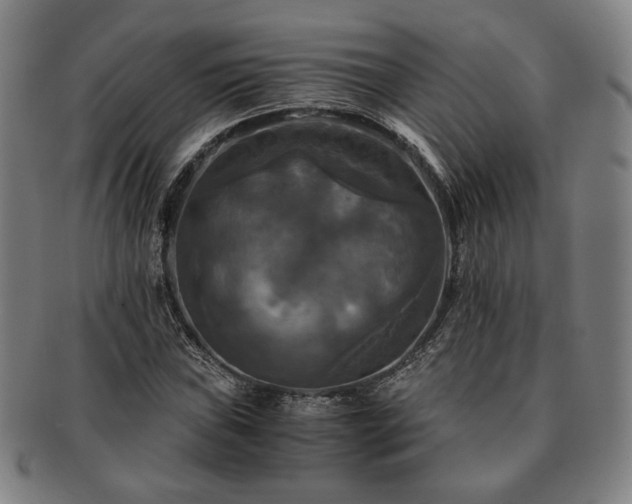 X0000091481019200708231356