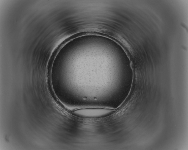 X0000091481020200708231356