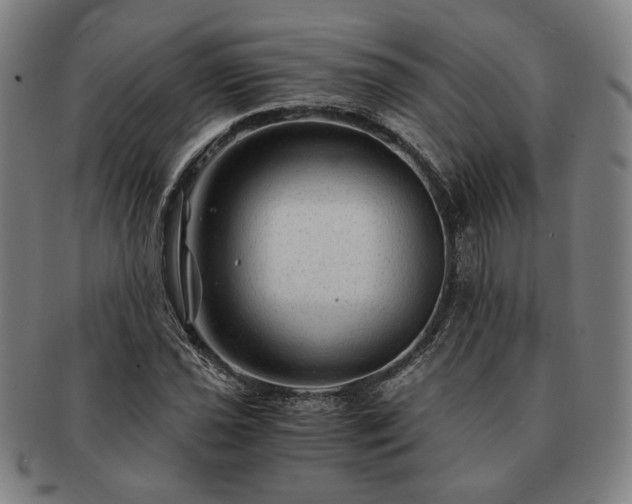 X0000091481021200708231356