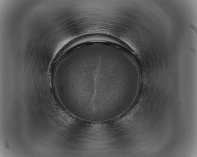 X0000091481022200708231356