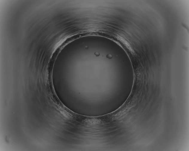 X0000091481023200708231356