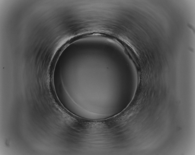 X0000091481024200708231356