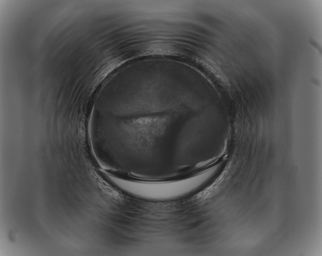 X0000091481025200708231356