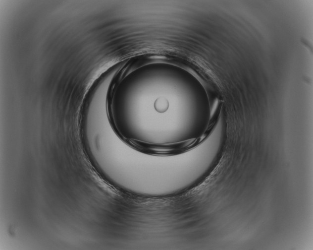 X0000091481026200708231356