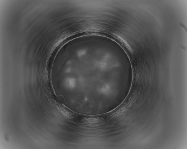 X0000091481027200708231356