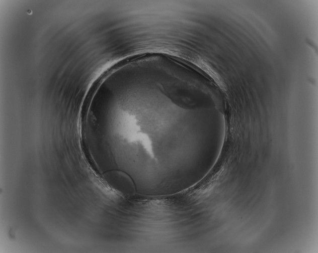 X0000091481028200708231356