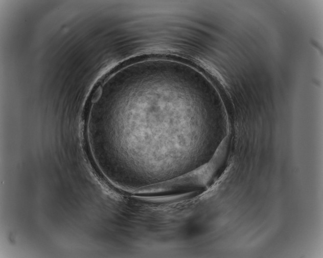 X0000091481029200708231356