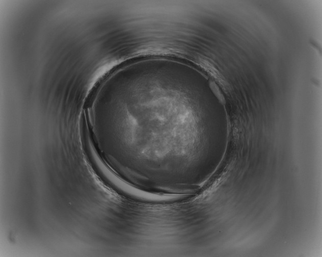 X0000091481030200708231356