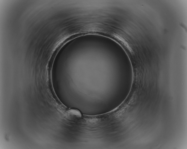 X0000091481031200708231356