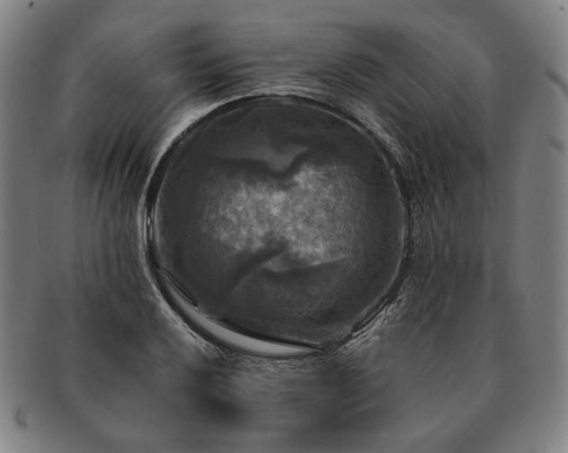 X0000091481032200708231356