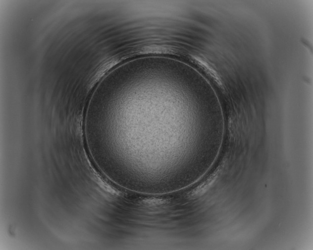 X0000091481033200708231356