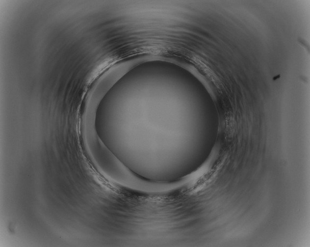 X0000091481034200708231356