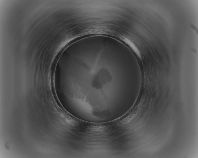 X0000091481035200708231356