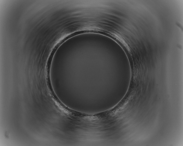 X0000091481037200708231356