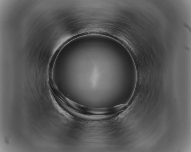 X0000091481038200708231356