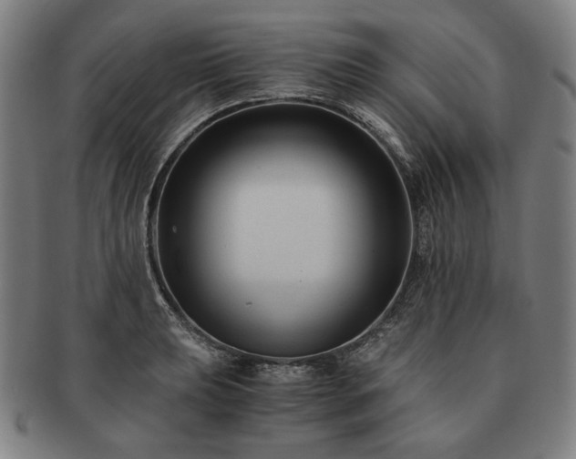 X0000091481039200708231356