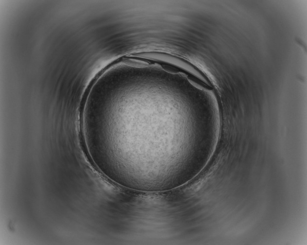 X0000091481040200708231356