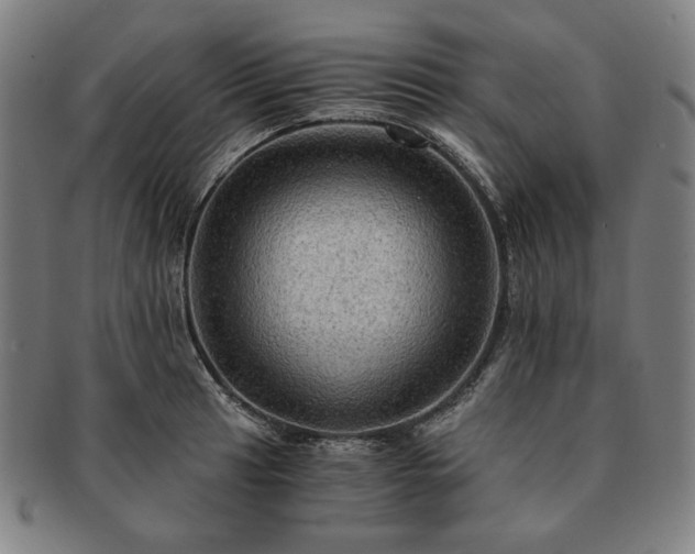 X0000091481041200708231356