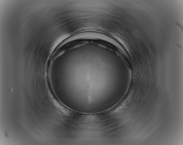 X0000091481042200708231356