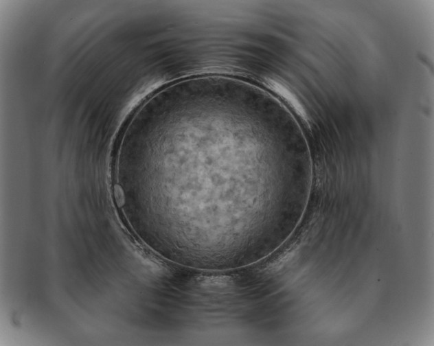 X0000091481043200708231356