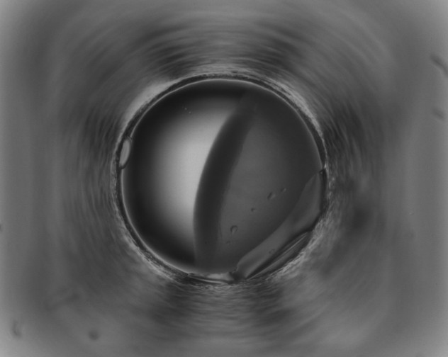 X0000091481045200708231356