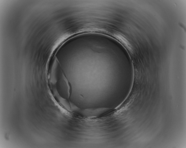 X0000091481046200708231356