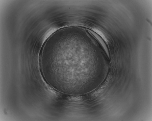 X0000091481047200708231356