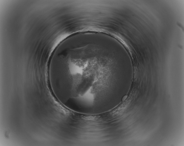 X0000091481048200708231356