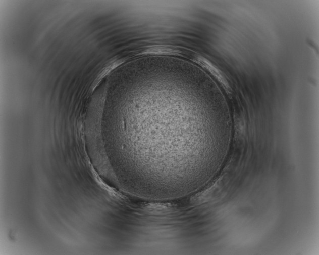 X0000091481049200708231356