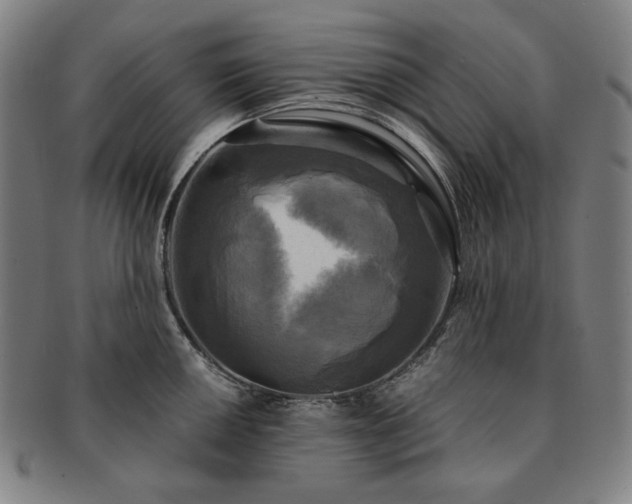 X0000091481050200708231356