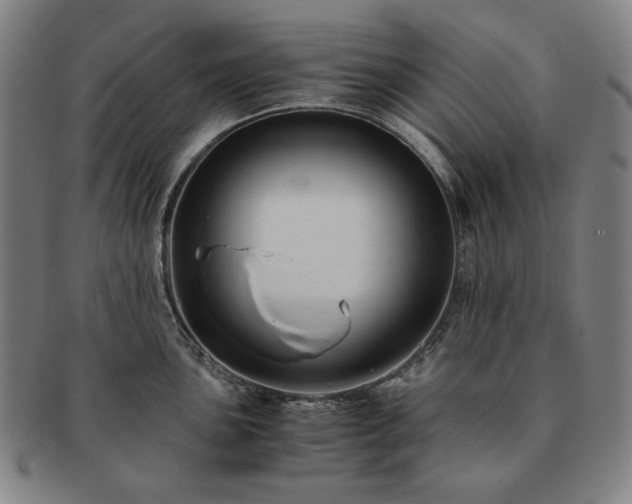 X0000091481051200708231356