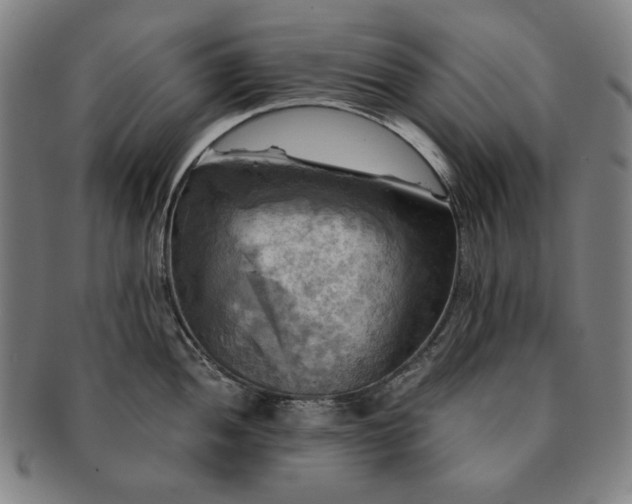 X0000091481052200708231356