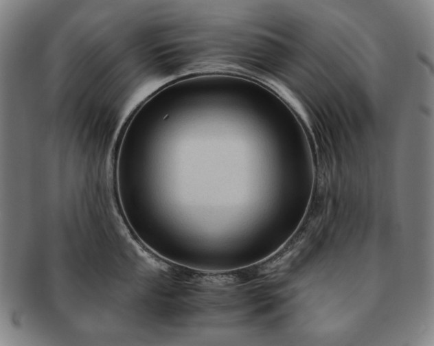 X0000091481053200708231356