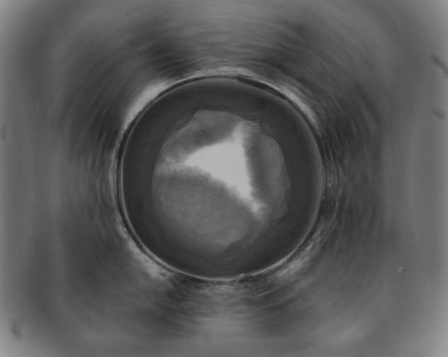 X0000091481054200708231356