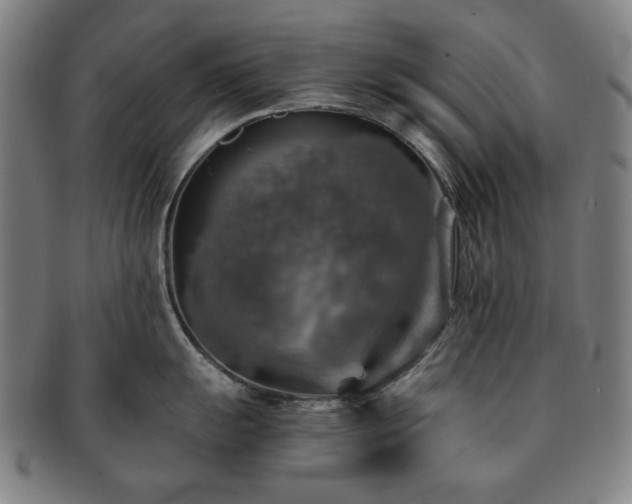 X0000091481055200708231356