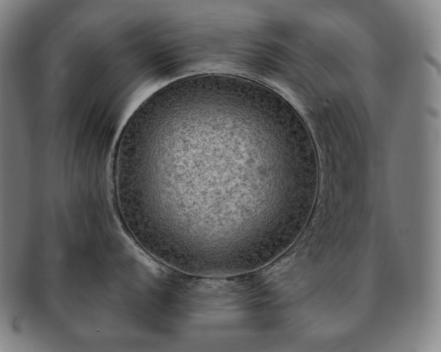 X0000091481056200708231356