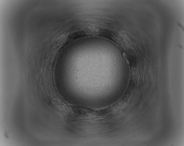 X0000091481057200708231356