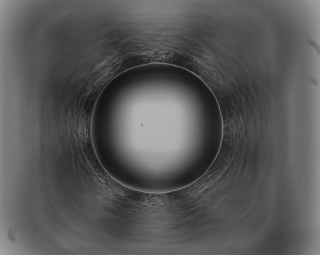 X0000091481058200708231356