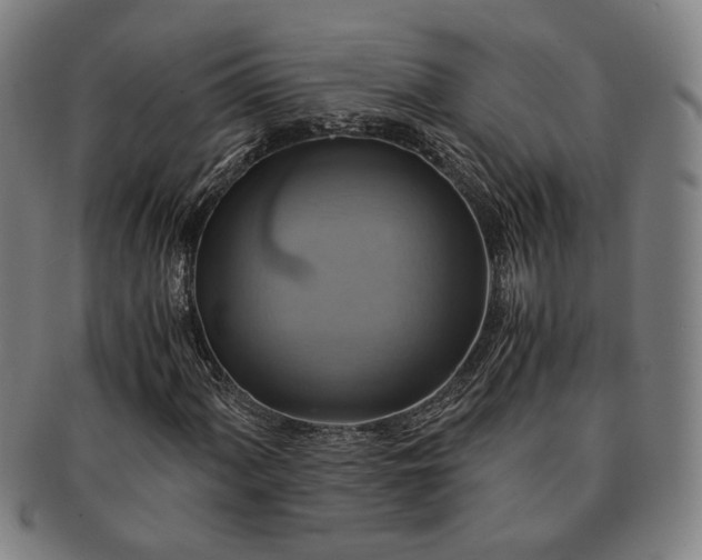 X0000091481060200708231356