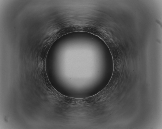 X0000091481061200708231356