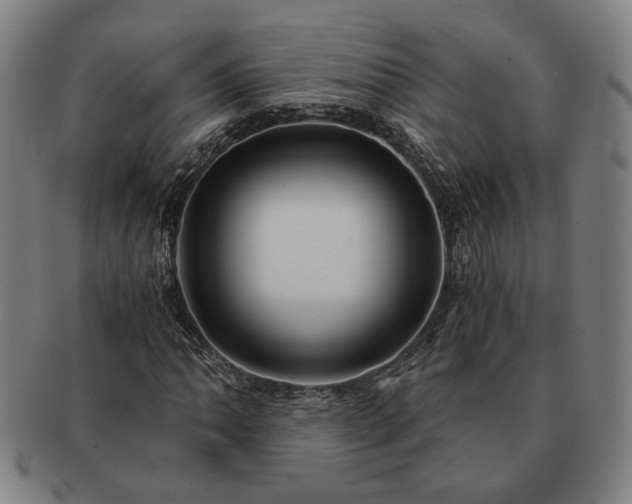 X0000091481062200708231355